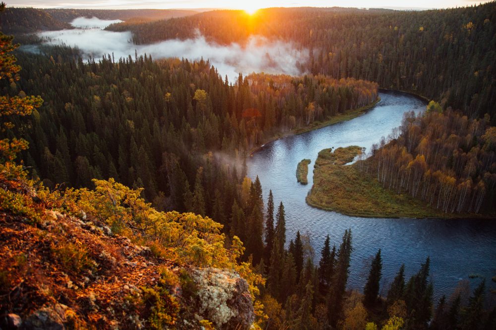 Finnish by Nature – die finnischen Naturtage