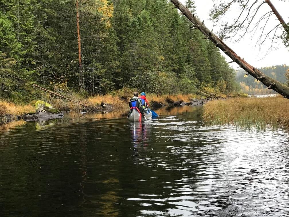 Familienfreundliche Kanutour auf dem Klarälven in Värmland