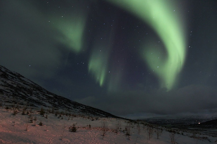 Familienreise im Winter auf die Westfjorde in Island. Fjordkind-Reisen präsentiert eine Nordlichtreise.