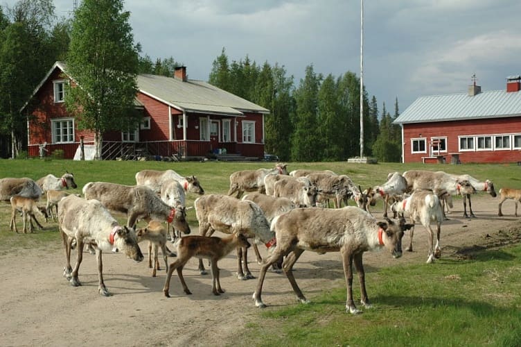 Familienurlaub in Finnisch-Lappland auf dem Reiterhof - jetzt buchen!