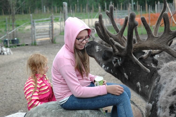 Familienurlaub in Finnisch-Lappland auf dem Reiterhof - jetzt buchen!