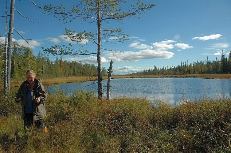 Familienurlaub in Finnisch-Lappland auf dem Reiterhof - jetzt buchen!