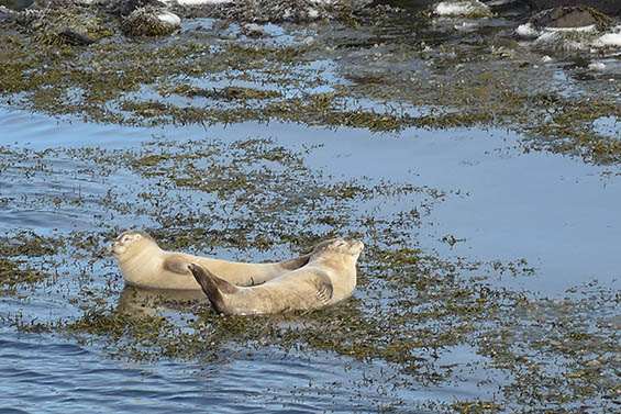 Familienreise im Winter nach Nordisland