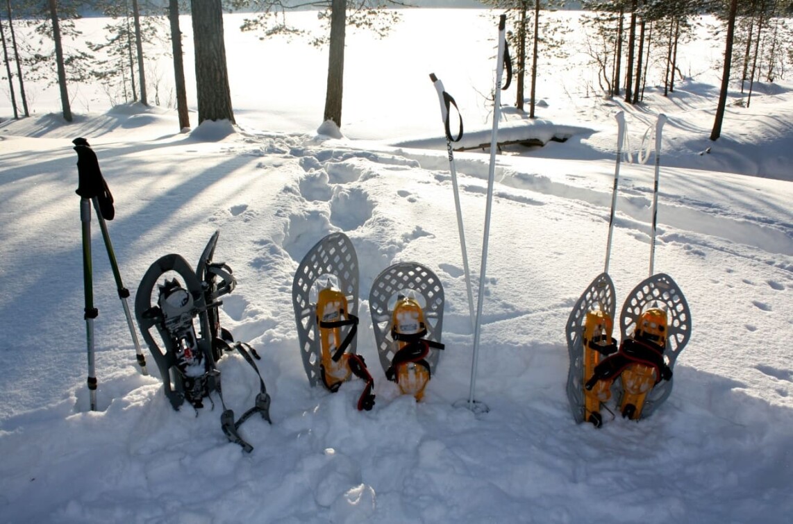 Winterspaß in Lappland mit anderen Familien und Vollpension