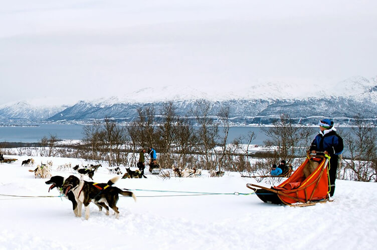Insel der Wale - Familienreise nach Nordnorwegen