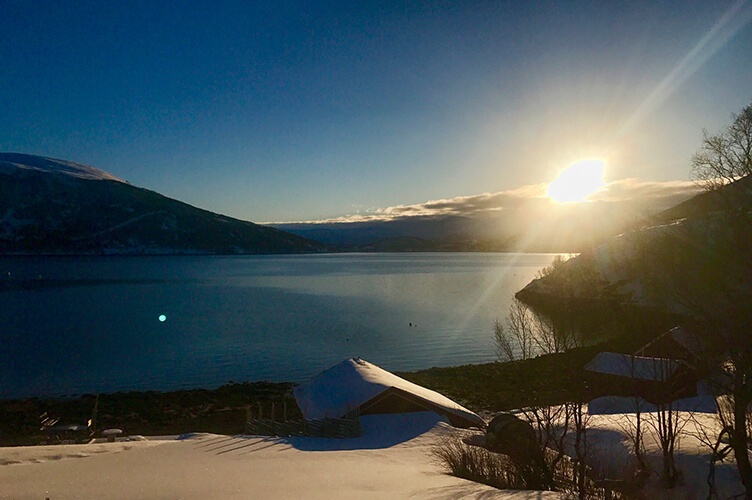 Insel der Wale - Familienreise nach Nordnorwegen