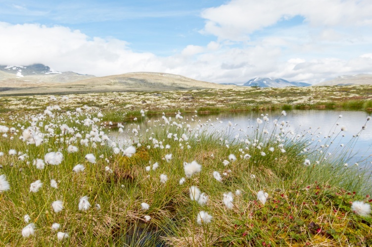 Aktivurlaub in Norwegen mit Kindern - bei Fjordkind-Reisen buchen