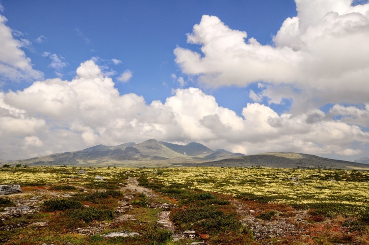 Aktivurlaub in Norwegen mit Kindern - bei Fjordkind-Reisen buchen