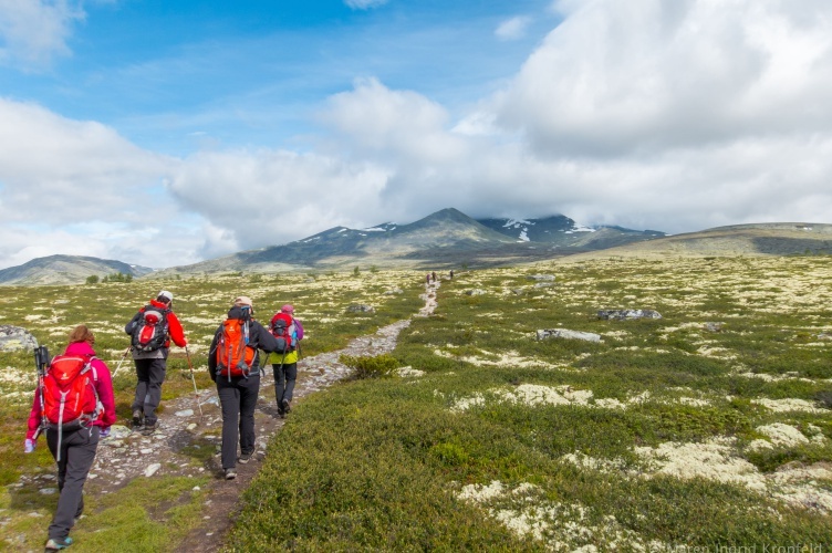 Aktivurlaub in Norwegen mit Kindern - bei Fjordkind-Reisen buchen