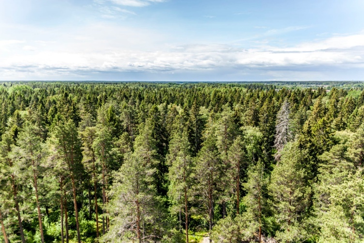 Ferienhaus in Schweden am See - Familienurlaub in Schweden