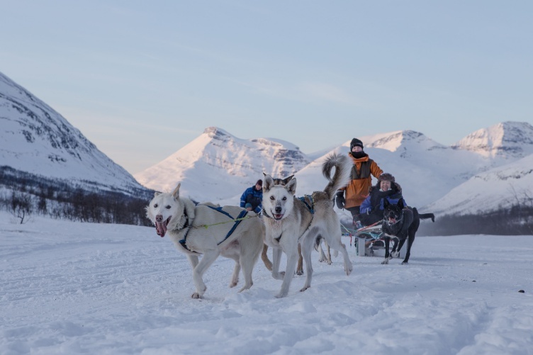 Winterurlaub bei Tromsø - Aktivurlaub unter Nordlichtern