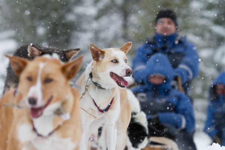 Winterurlaub bei Tromsø - Aktivurlaub unter Nordlichtern