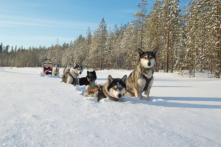 Abenteuerlicher Winterurlaub in Ostfinnland