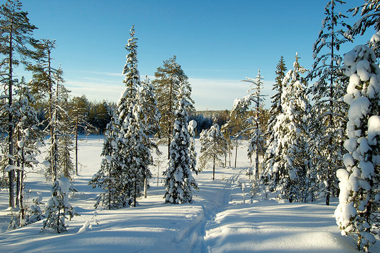 Abenteuerlicher Winterurlaub in Ostfinnland