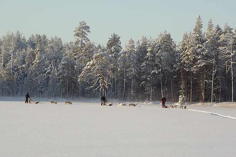 Abenteuerlicher Winterurlaub in Ostfinnland