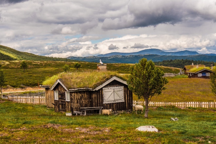 Selbstfahrertour in Südnorwegen in Hotels - bei Fjordkind-Reisen buchen!