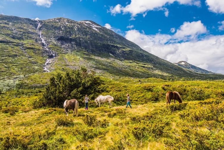 Selbstfahrertour in Südnorwegen in Hotels - bei Fjordkind-Reisen buchen!