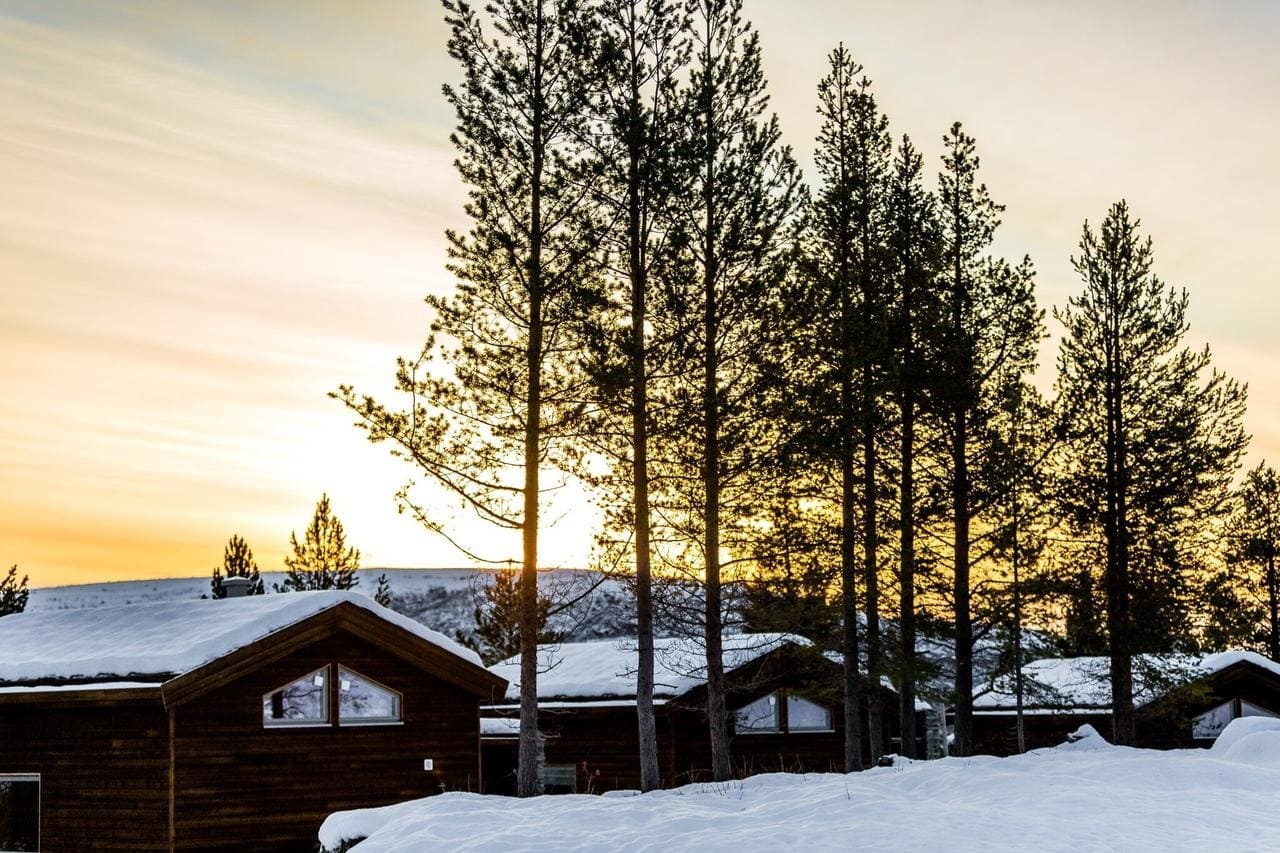 Familienurlaub in Nordnorwegen - Nordlichter und Huskytour