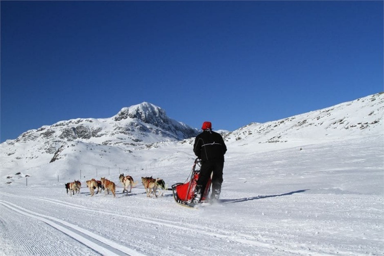 Skiurlaub mit Kindern in Norwegen - bei Fjordkind-Reisen buchen