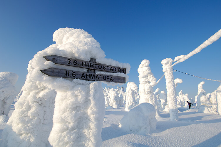 Winterurlaub in Lappland am Nationalpark Syöte