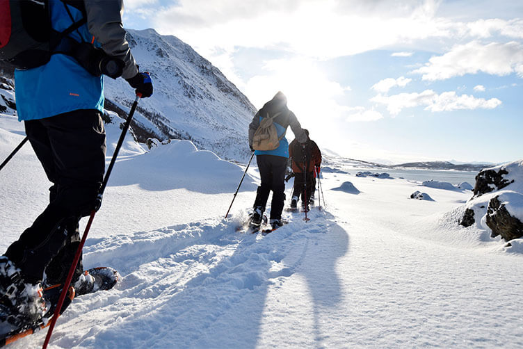 Nordlichtabenteuer bei Tromsø