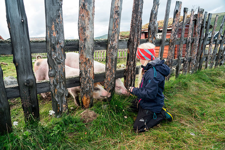 Familienradtour im Nationalpark Dovrefjell