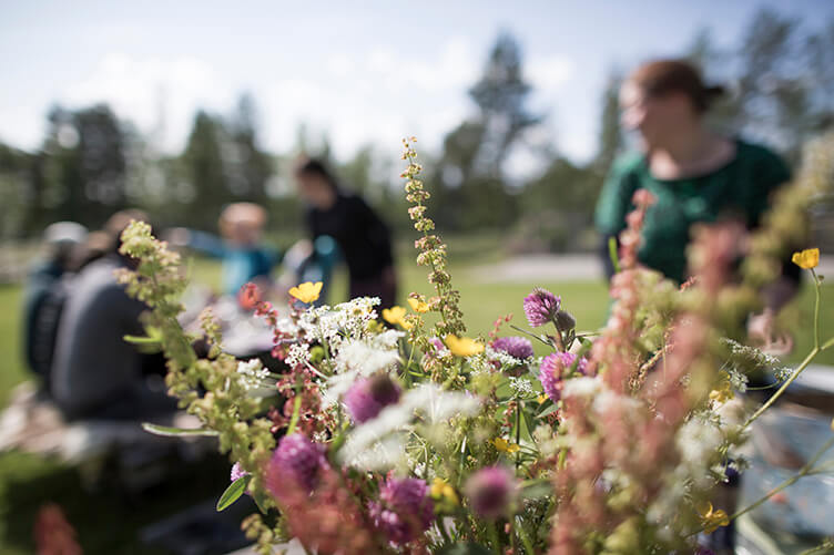 Arktische Wildnis in Schwedisch Lappland. Familienreise mit Kanutour, Wildniswanderung und Huskys
