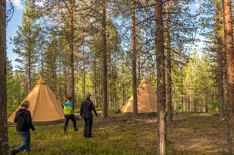 Arktische Wildnis in Schwedisch Lappland. Familienreise mit Kanutour, Wildniswanderung und Huskys