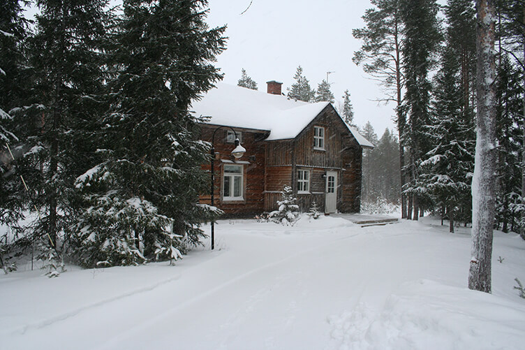 Winterurlaub auf einer Huskyfarm in Südlappland