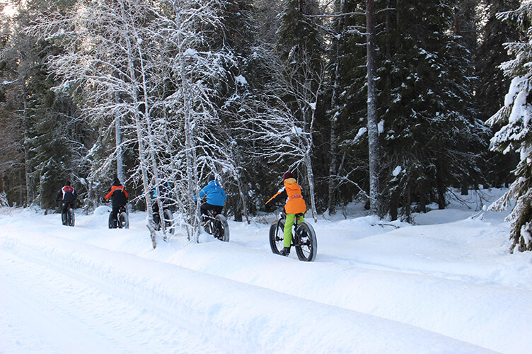 Winterurlaub auf einer Huskyfarm in Südlappland