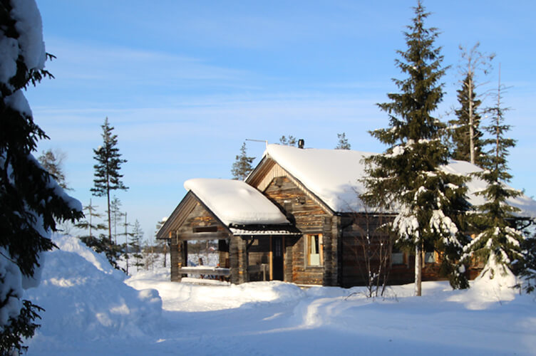 Winterurlaub auf einer Huskyfarm in Südlappland