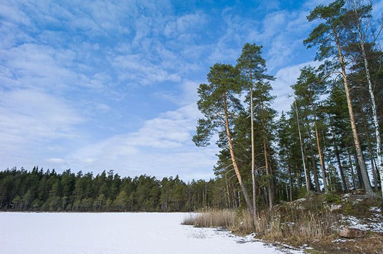 Winterurlaub Großes Ferienhaus Südfinnland mit Hot Pot und Sauna