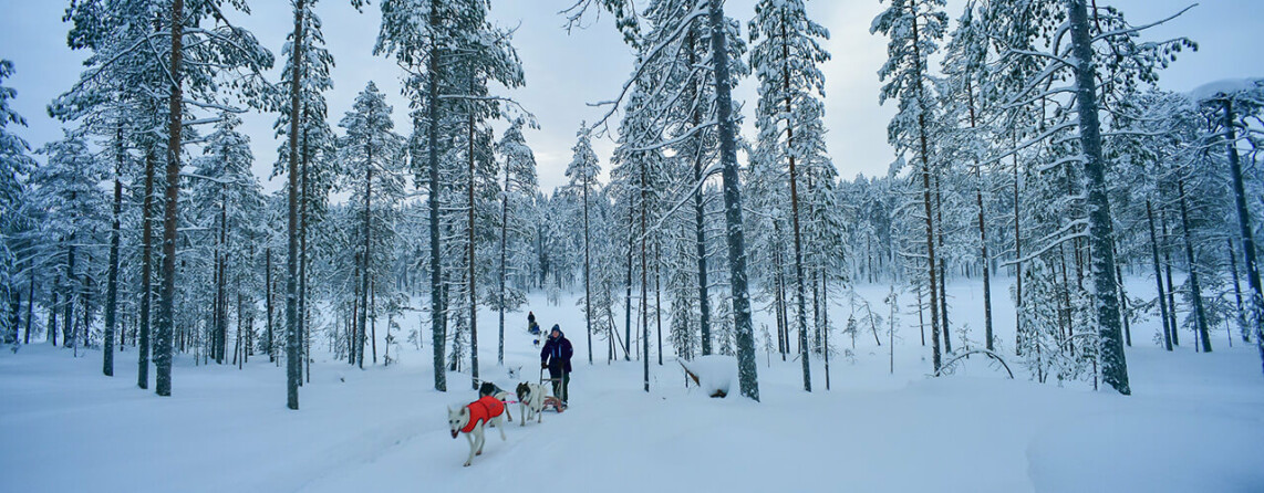Winter-Gruppenreise für Familien im südlichen Lappland