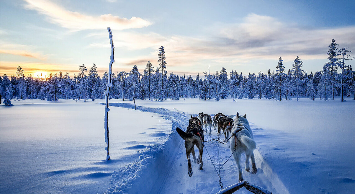 Winterurlaub in Schweden