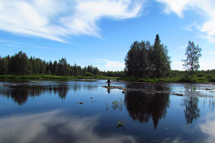Sommerurlaub auf einer Huskyfarm in Südlappland