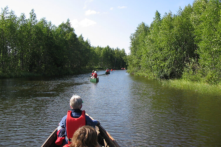 Sommerurlaub auf einer Huskyfarm in Südlappland