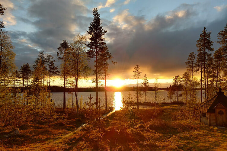 Sommerurlaub auf einer Huskyfarm in Südlappland