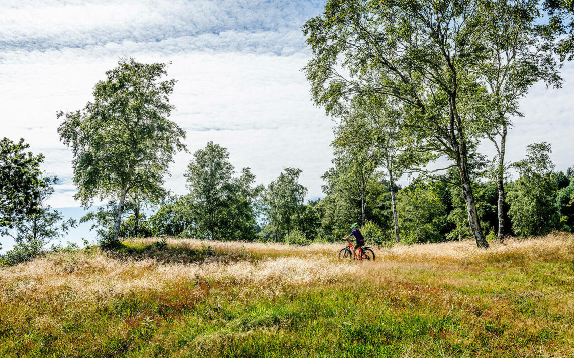 Fahrradtour für Familien in Nordjütland am Limfjord
