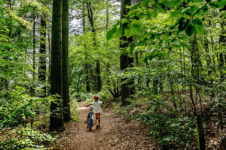 Kind schiebt sein Fahrrad auf einem Waldweg.