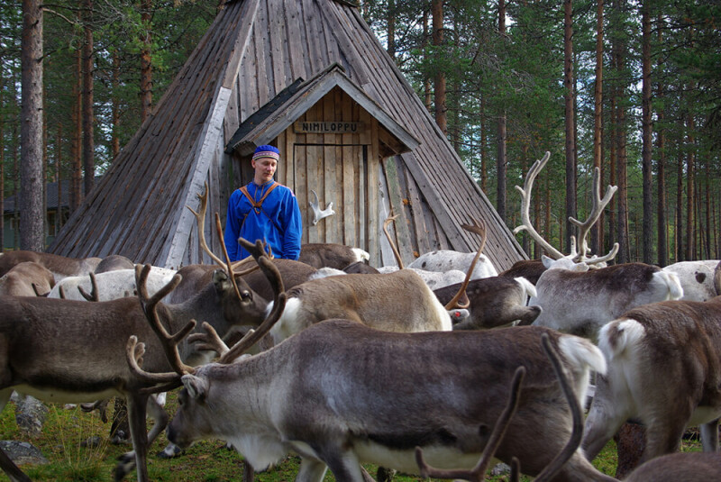 Ein Sami und seine Rentiere.