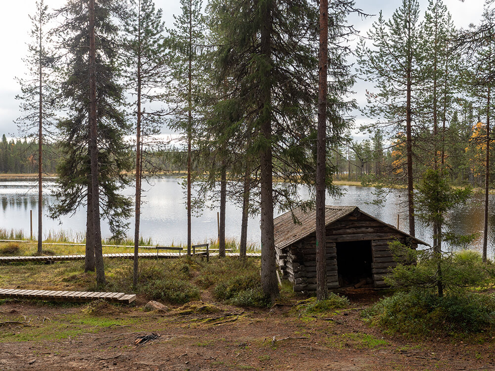 Holzhütte am See mit Bäumen.