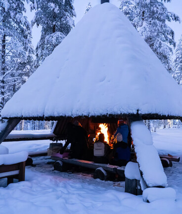 Winterspaß in Lappland mit anderen Familien und Vollpension