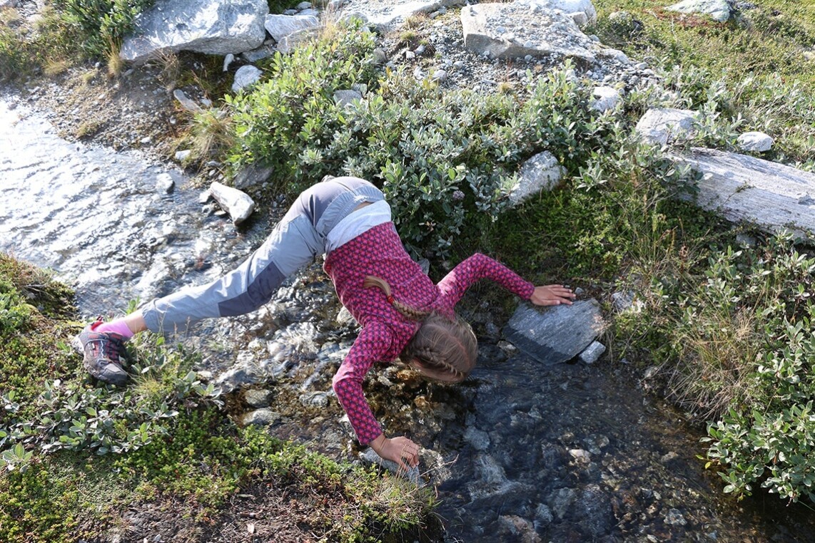 Selbstfahrertour durch Trøndelag in Mittelnorwegen