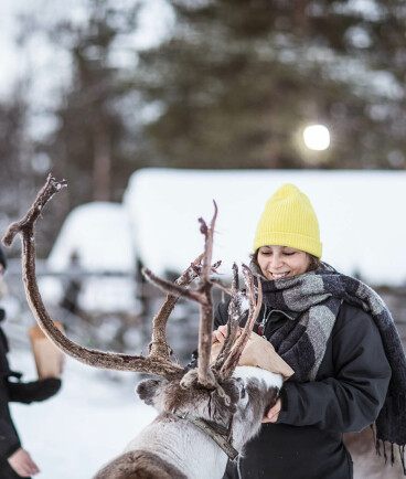 Winterurlaub auf einem schwedischen Hof in Lappland