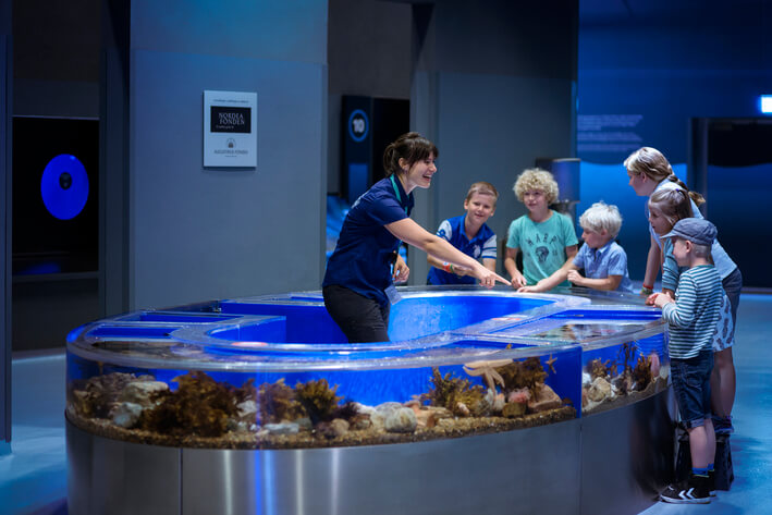 Eine Frau zeigt Kindern Fische in einem kleineren Aquarium.