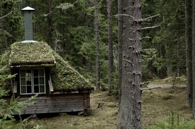 Ein Hütte im Wald mit moosbewachsenem Dach.