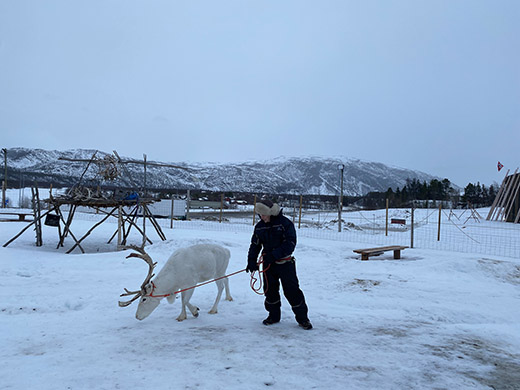 Mann steht im Schnee mit einem weißen Rentier