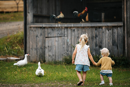 Kleine Kinder laufen auf eine kleine Holzhütte mit Hühnern zu