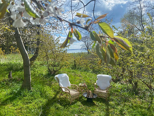 Zwei Stühle stehen zwischen grünen Büschen und Bäumen im Sonneschein.