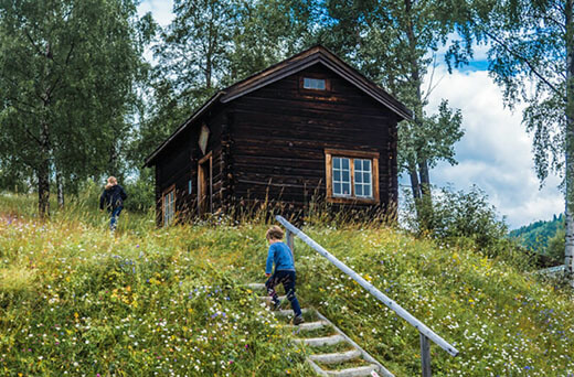 Ein Junge steigt eine Treppe hinauf zu einem urigen Holzhaus auf einer Wiese.